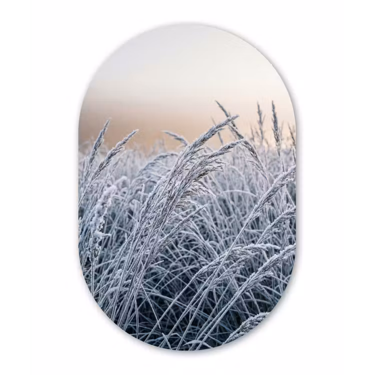 Rijp - Gras - Kristallen - Winter - Minimalistisch Wandcirkel Ovaal Aluminium middel -3d