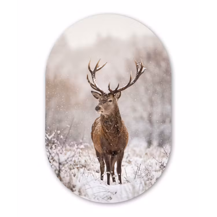Edelhert - Bos - Sneeuw - Winter - Majestueus Wandcirkel Ovaal Aluminium middel -3d