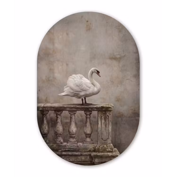 Zwaan - Elegant - Dieren - Wit Wandcirkel Ovaal Aluminium middel -3d