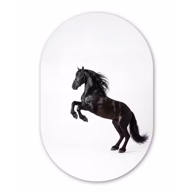 Zwart - Paard - Portret Wandcirkel Ovaal Aluminium middel -3d