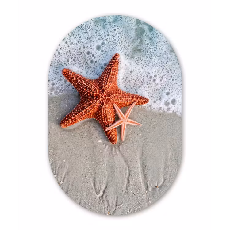 Zeester - Strand - Zee Wandcirkel Ovaal Aluminium middel -3d