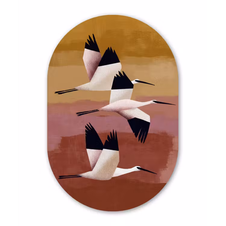 Vogels - Snavel - Abstract Wandcirkel Ovaal Aluminium middel -3d