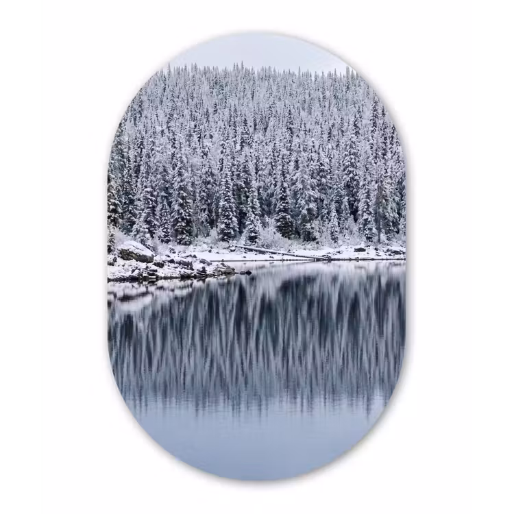 Bos - Reflectie - Meer - Winter - Serene Wandcirkel Ovaal Aluminium middel -3d