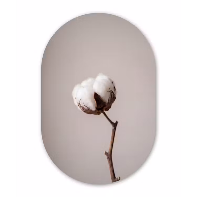 Katoenbol - Minimalistisch - Wit Wandcirkel Ovaal Aluminium middel -3d