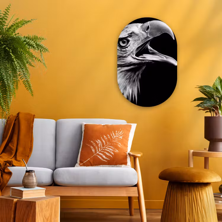 Adelaar - Portret - Roofvogels - Zwart - Wit - Vogel Wandcirkel Ovaal Forex klein -sfeer4