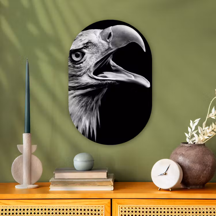Adelaar - Portret - Roofvogels - Zwart - Wit - Vogel Wandcirkel Ovaal Forex klein -sfeer2