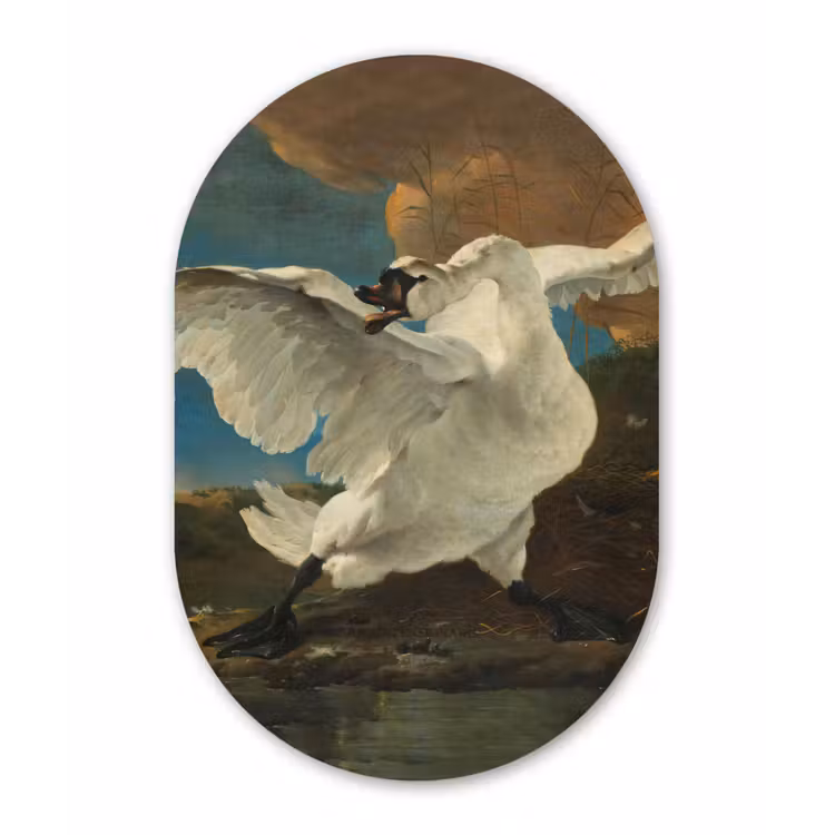 De bedreigde zwaan - Schilderij van Jan Asselijn Wandcirkel Ovaal Forex klein -3d