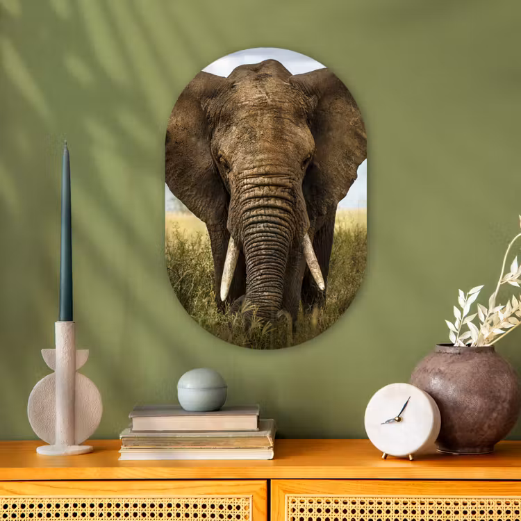 Olifant - Natuur - Gras - Dieren - Landschap Wandcirkel Ovaal Forex klein -sfeer2