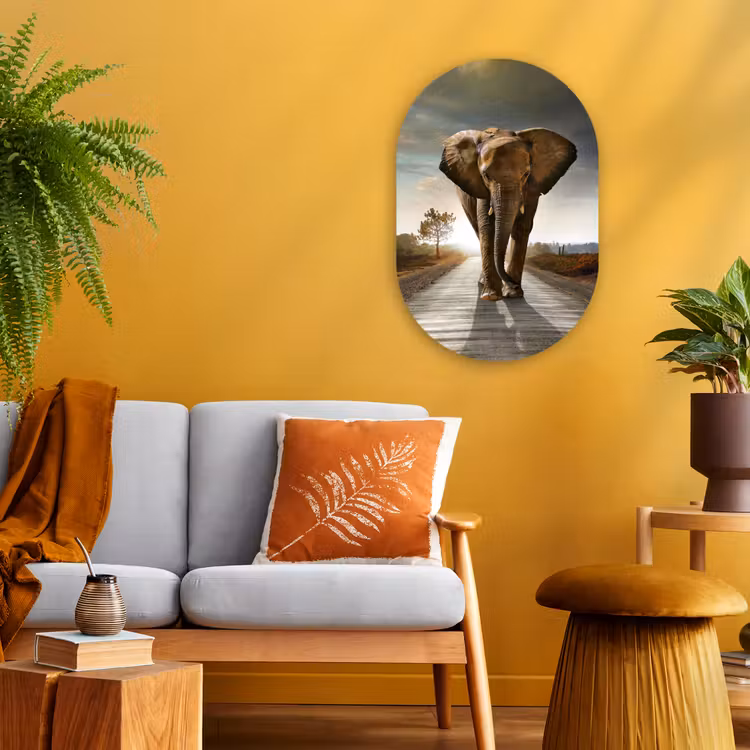 Olifant - Weg - Dieren - Zonsondergang - Landschap Wandcirkel Ovaal Forex klein -sfeer4