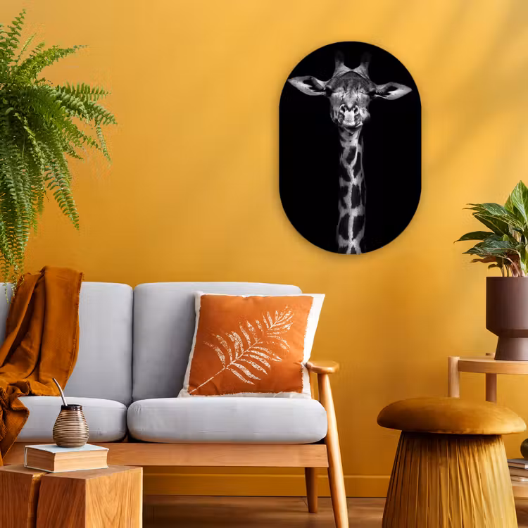 Giraffe - Portret - Dieren - Zwart - Wit Wandcirkel Ovaal Forex klein -sfeer4
