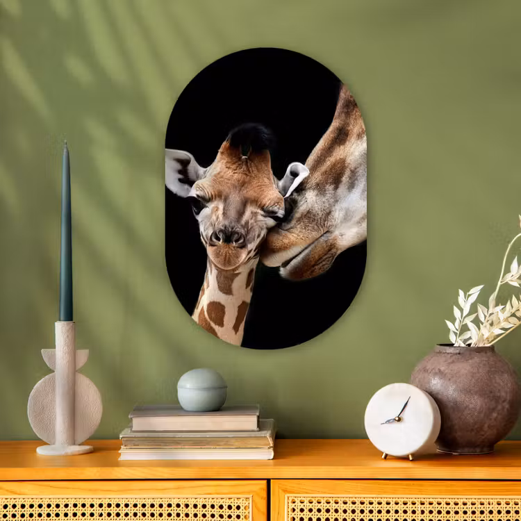 Giraffe - Dieren - Zwart - Portret - Dieren Wandcirkel Ovaal Forex klein -sfeer2