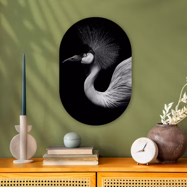 Kraanvogel - Zwart - Wit - Vogel - Dieren Wandcirkel Ovaal Forex klein -sfeer2