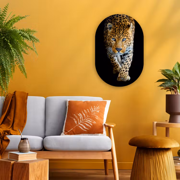 Luipaard - Dieren - Portret - Wilde dieren - Zwart Wandcirkel Ovaal Forex klein -sfeer4