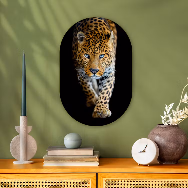Luipaard - Dieren - Portret - Wilde dieren - Zwart Wandcirkel Ovaal Forex klein -sfeer2