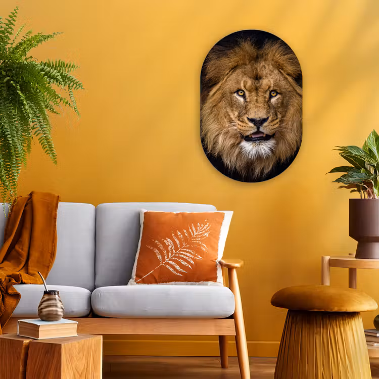 Leeuw - Portret - Zwart - Dieren Wandcirkel Ovaal Forex klein -sfeer4