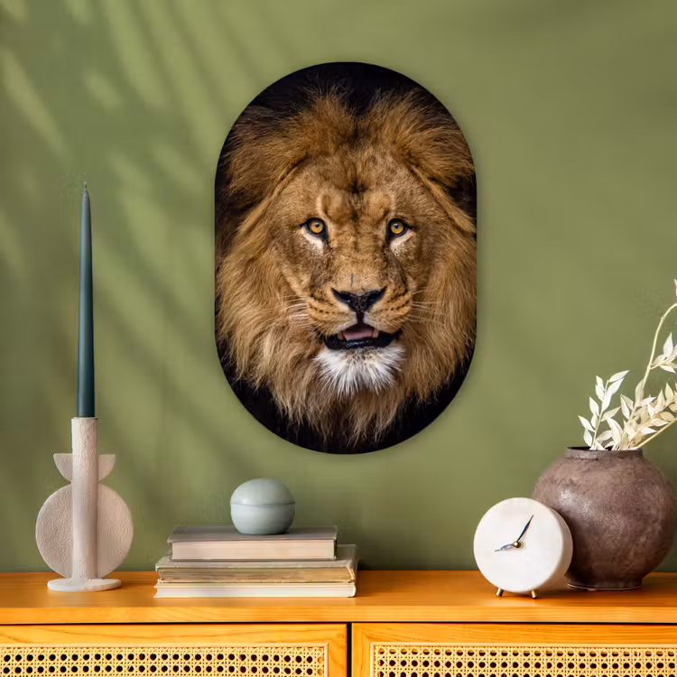 Leeuw - Portret - Zwart - Dieren Wandcirkel Ovaal Forex klein -sfeer2