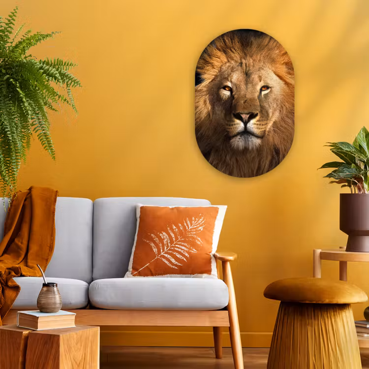 Leeuw - Dieren - Zwart - Licht - Bruin - Portret Wandcirkel Ovaal Forex klein -sfeer4