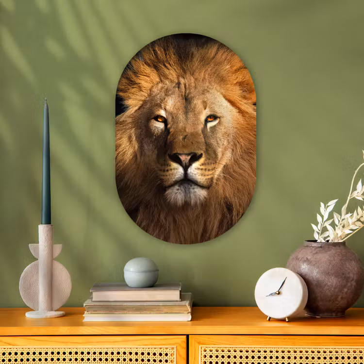 Leeuw - Dieren - Zwart - Licht - Bruin - Portret Wandcirkel Ovaal Forex klein -sfeer2