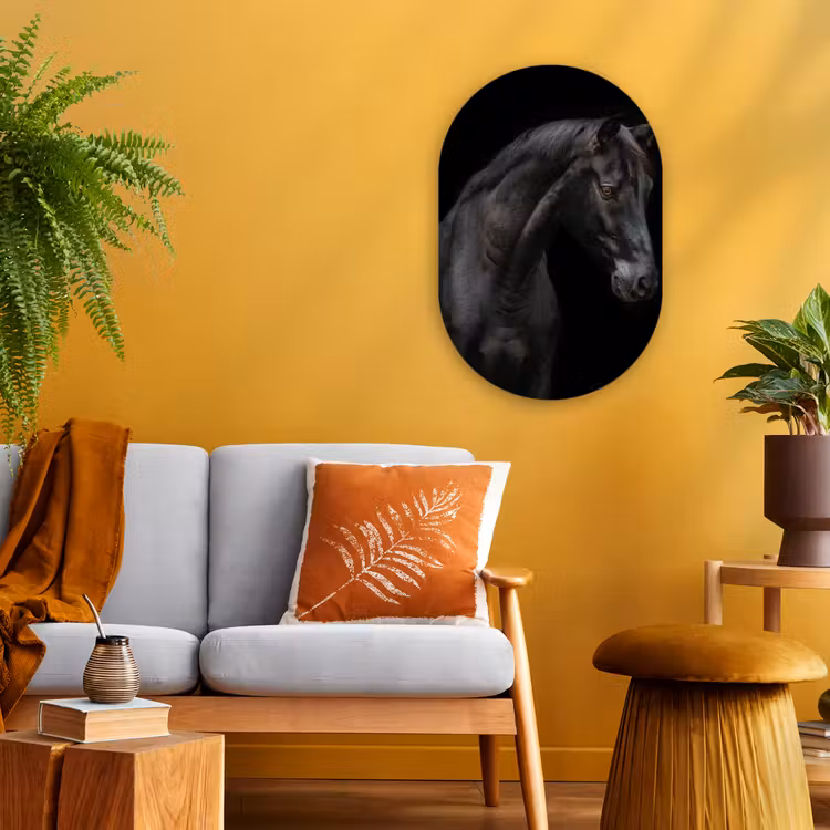 Paard - Dieren - Zwart - Portret Wandcirkel Ovaal Forex klein -sfeer4