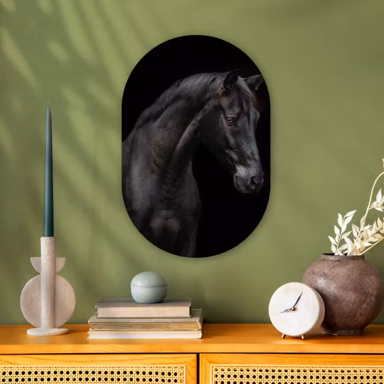 Paard - Dieren - Zwart - Portret Wandcirkel Ovaal Forex klein -sfeer2