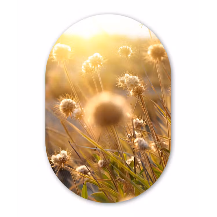 Planten - Natuur - Bloemen Wandcirkel Ovaal Forex klein -3d