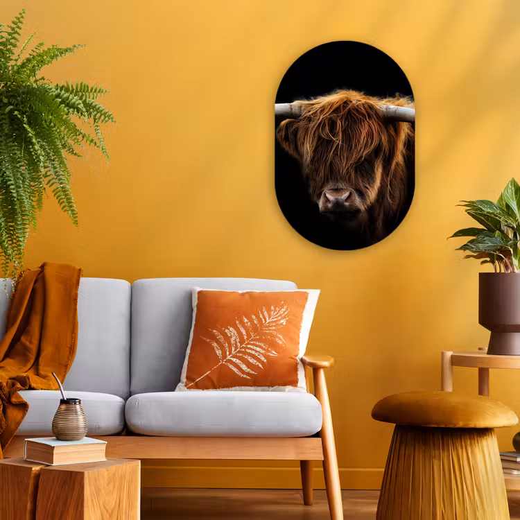 Schotse Hooglander - Horens - Zwart - Dieren - Natuur - Wild - Koe Wandcirkel Ovaal Forex klein -sfeer4