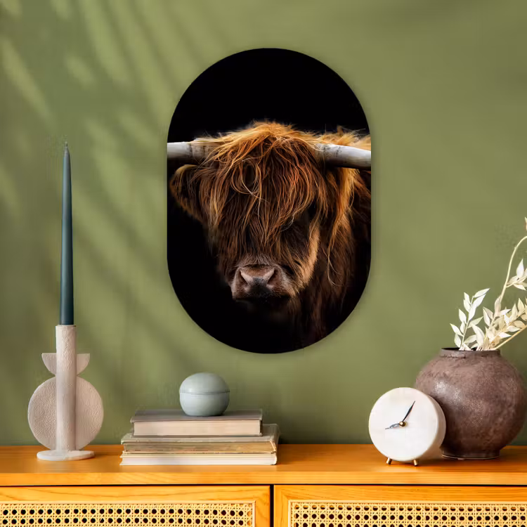 Schotse Hooglander - Horens - Zwart - Dieren - Natuur - Wild - Koe Wandcirkel Ovaal Forex klein -sfeer2