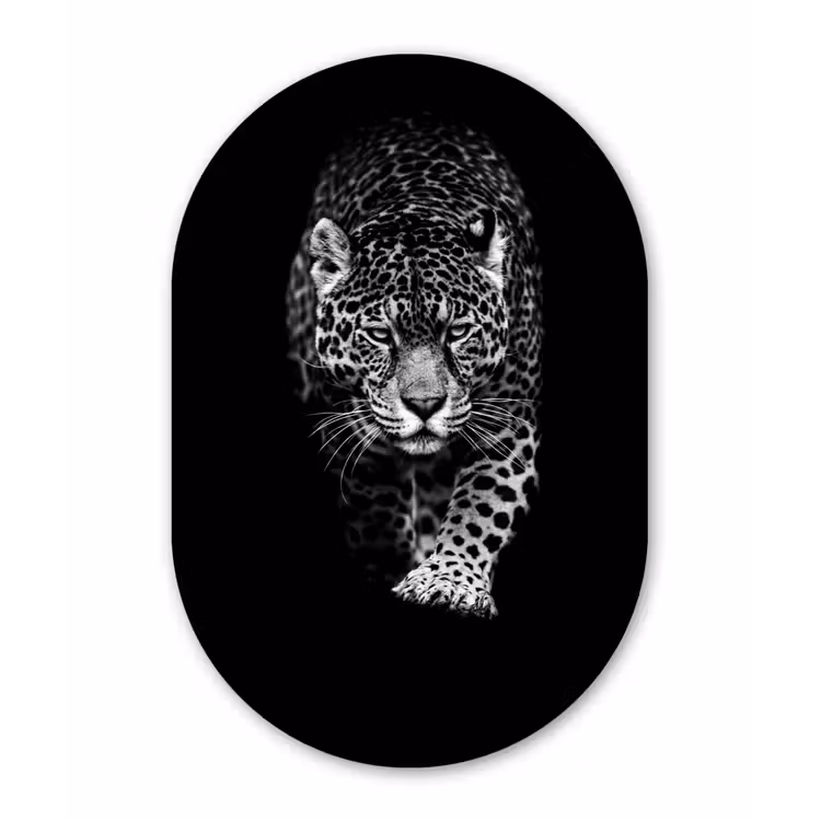 Dieren - Zwart - Luipaard - Wit - Wild Wandcirkel Ovaal Forex klein -3d
