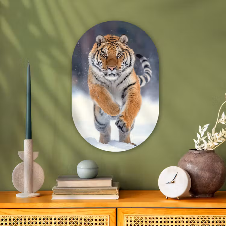 Tijger - Landschap - Sneeuw - Winter - Dieren Wandcirkel Ovaal Forex klein -sfeer2