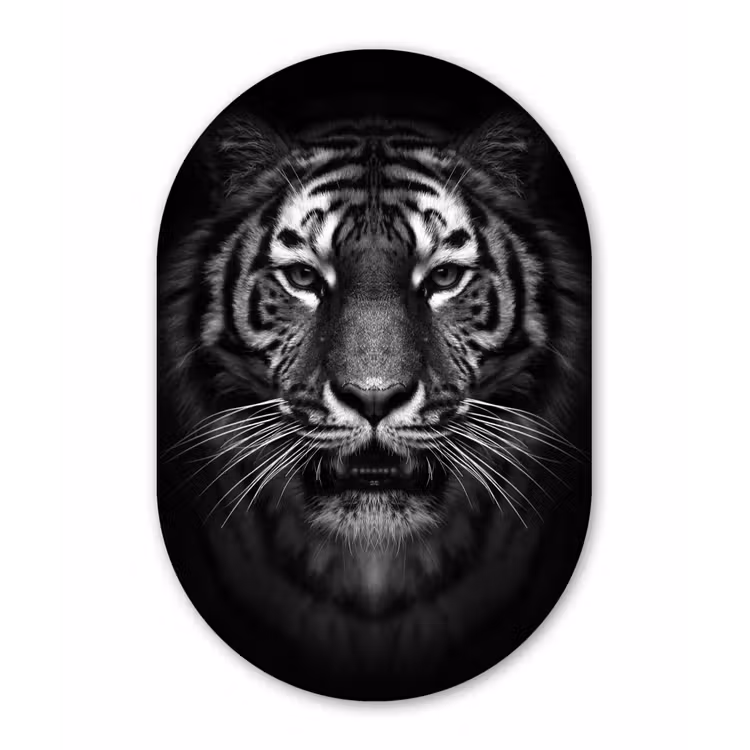 Tijger - Dieren - Zwart - Wit - Portret - Wild Wandcirkel Ovaal Forex klein -3d