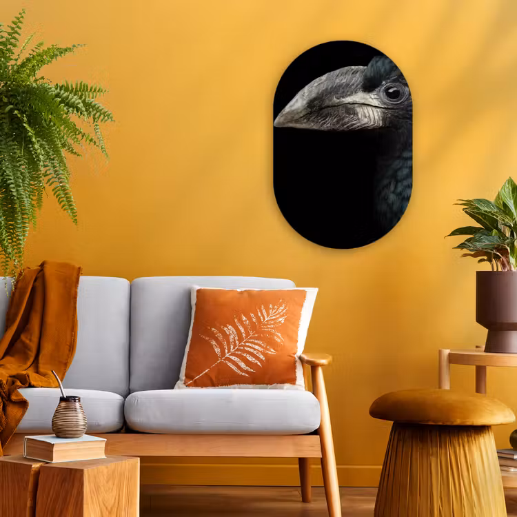 Vogel - Portret - Neushoornvogel - Zwart - Dieren Wandcirkel Ovaal Forex klein -sfeer4