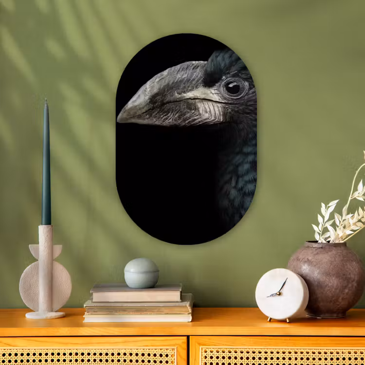 Vogel - Portret - Neushoornvogel - Zwart - Dieren Wandcirkel Ovaal Forex klein -sfeer2