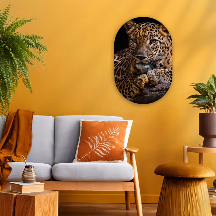 Wilde dieren - Panter - Portret - Zwart - Dieren Wandcirkel Ovaal Forex klein -sfeer4