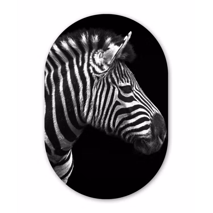 Zebra - Zwart - Wit - Portret - Dieren Wandcirkel Ovaal Forex klein -3d