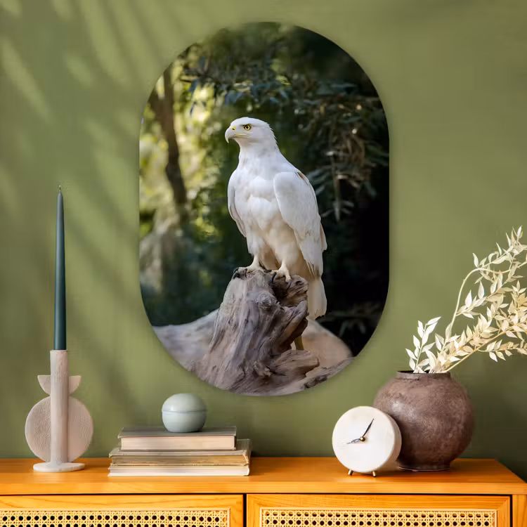 Arend - Hout - Wit - Planten Wandcirkel Ovaal Glas middel -sfeer2