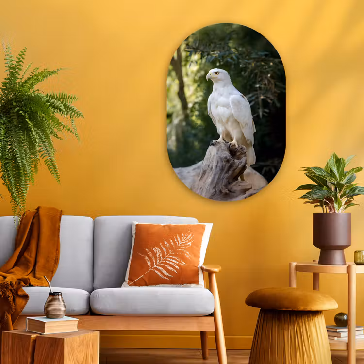 Arend - Hout - Wit - Planten Wandcirkel Ovaal Glas middel -sfeer4