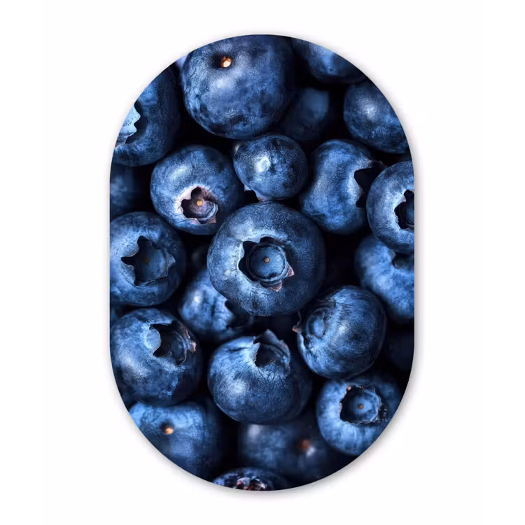 Bessen - Blauw - Fruit Wandcirkel Ovaal Glas middel -3d