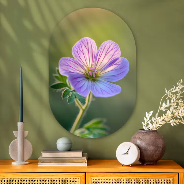 Bloem - Close up - Paars Wandcirkel Ovaal Glas middel -sfeer2