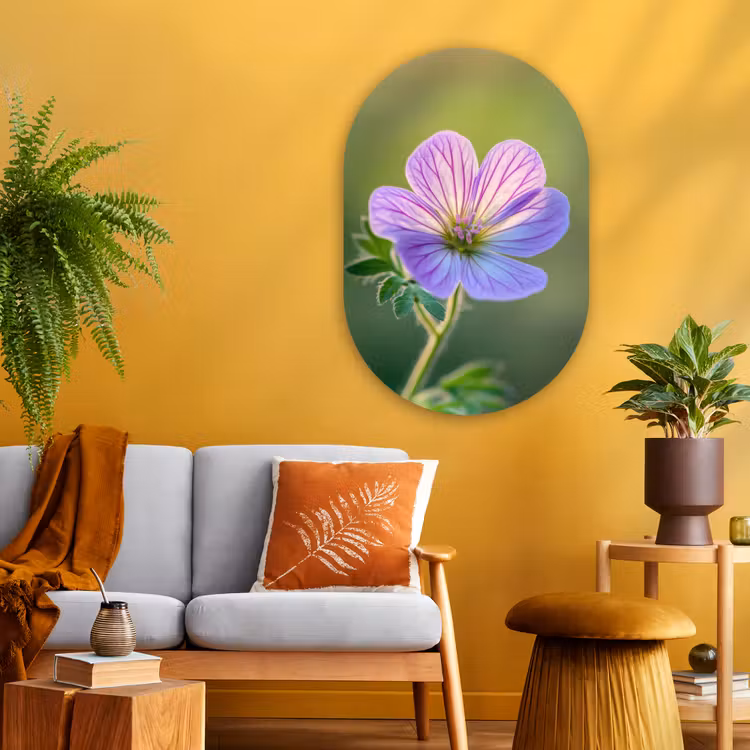 Bloem - Close up - Paars Wandcirkel Ovaal Glas middel -sfeer4