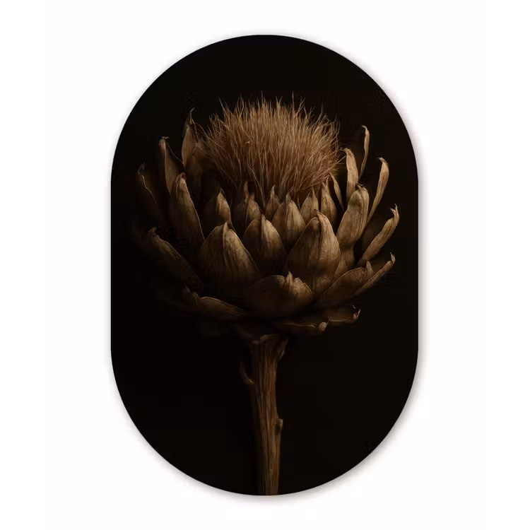 Donkerbruin - Bloem - Textuur - Artisjok Wandcirkel Ovaal Glas middel -3d