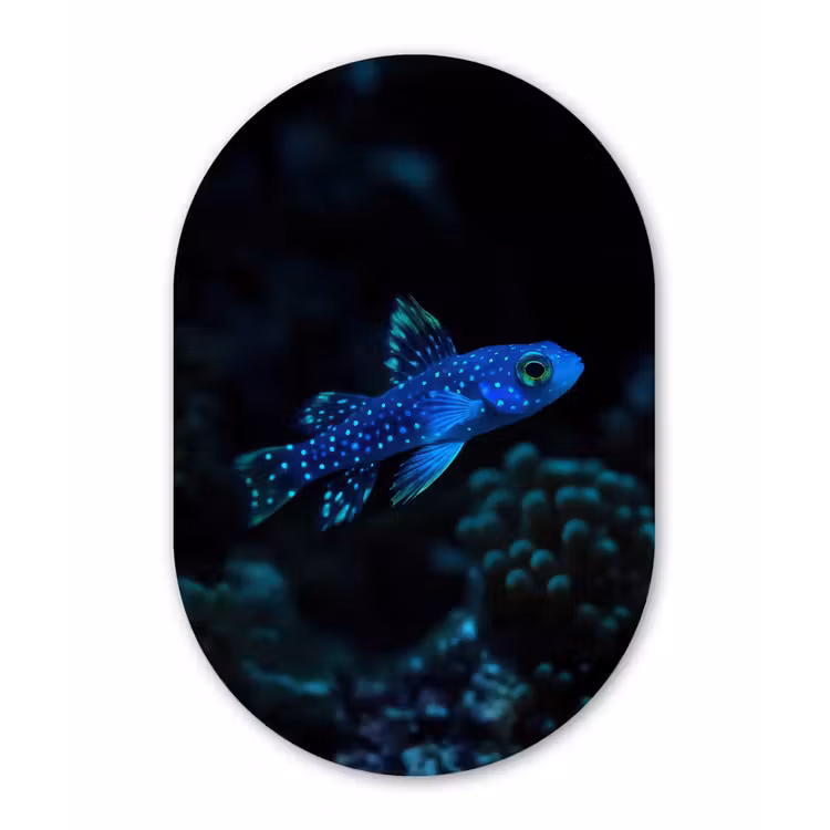 Vis - Stippen - Koraal - Blauw Wandcirkel Ovaal Glas middel -3d