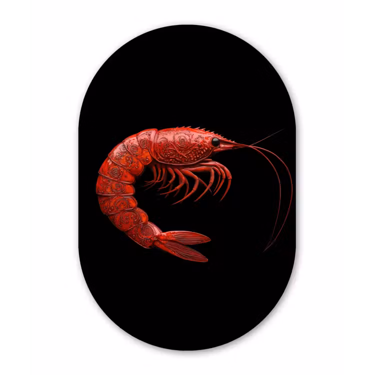 Garnaal - Rood - Dieren Wandcirkel Ovaal Glas middel -3d
