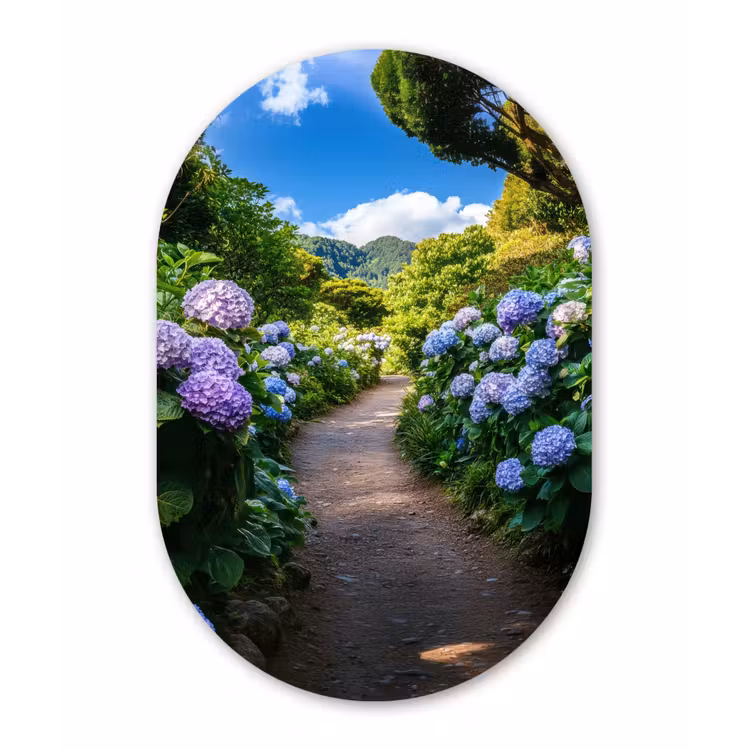 Hortsensia - Pad - Bloemen Wandcirkel Ovaal Glas middel -3d