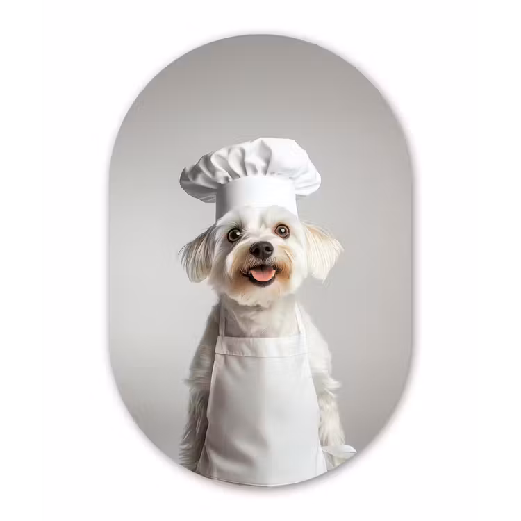 Hond - Wit - Kok Wandcirkel Ovaal Glas middel -3d