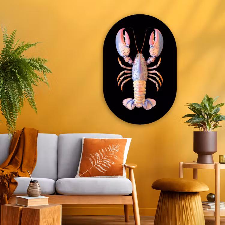 Kreeft - Roze - Zacht - Zwart Wandcirkel Ovaal Glas middel -sfeer4