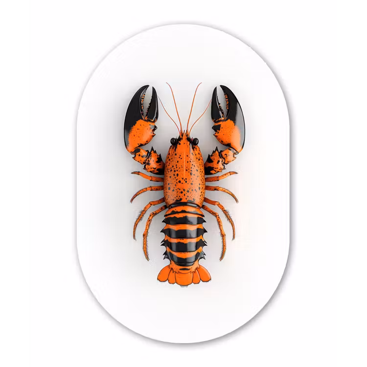 Kreeft - Zwart - Oranje - Wit - Uniek Wandcirkel Ovaal Glas middel -3d