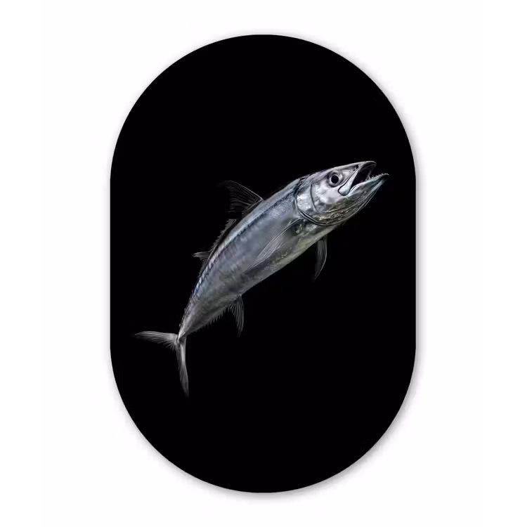 Makreel - Vis - Zwart Wandcirkel Ovaal Glas middel -3d