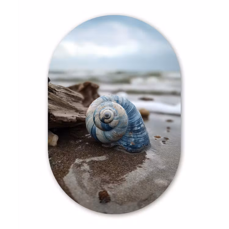 Schelp - Strand - Blauw - Zee Wandcirkel Ovaal Glas middel -3d