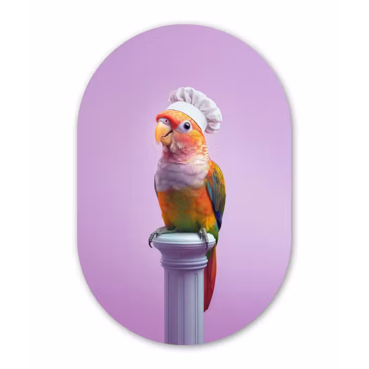Papegaai - Koksmuts - Pilaar - Vogel Wandcirkel Ovaal Glas middel -3d