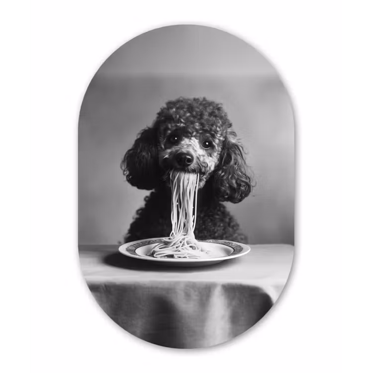 Poedel - Hond - Zwart - Wit - Schattig - Pasta Wandcirkel Ovaal Glas middel -3d